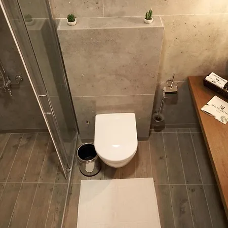 Silver Palms Hotel 4*