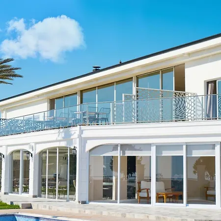 Silver Palms